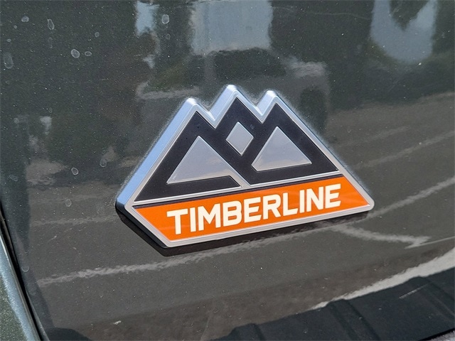 Explorer TIMBERLINE