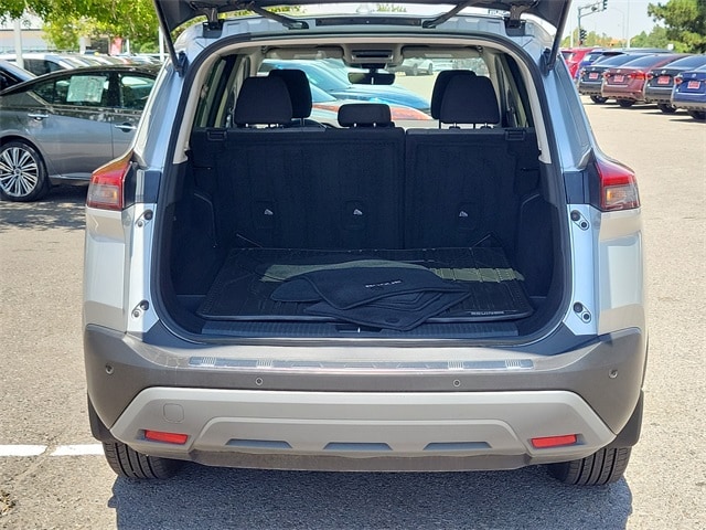 Rogue SV