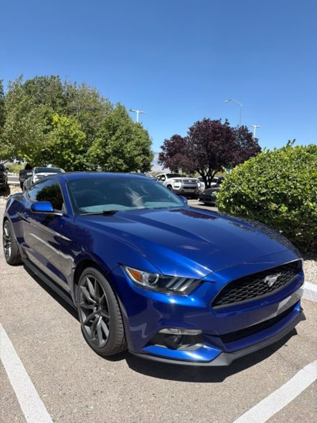 Used 2016 Ford Mustang Ecoboost Coupe