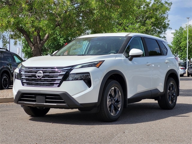 Rogue SV