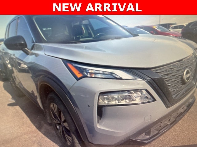 Rogue SV