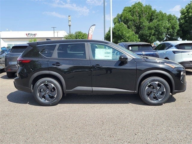 Rogue SV