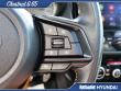2023 Subaru Forester Wilderness SUV