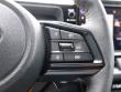 2026 Subaru Outback Wilderness SUV