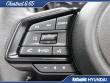 2025 Subaru Ascent Onyx Edition 7-Passenger SUV