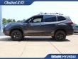 2024 Subaru Forester Wilderness SUV