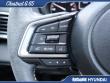 2025 Subaru Outback Limited SUV
