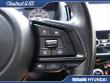 2024 Subaru Forester Wilderness SUV