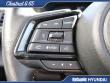2024 Subaru Ascent Onyx Edition Limited 7-Passenger SUV
