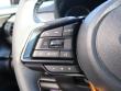 2026 Subaru Crosstrek Wilderness SUV