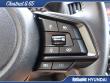 2024 Subaru Forester Wilderness SUV