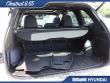 2023 Subaru Forester Wilderness SUV