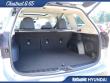 2024 Subaru Forester Limited SUV