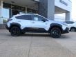 2026 Subaru Crosstrek Wilderness SUV