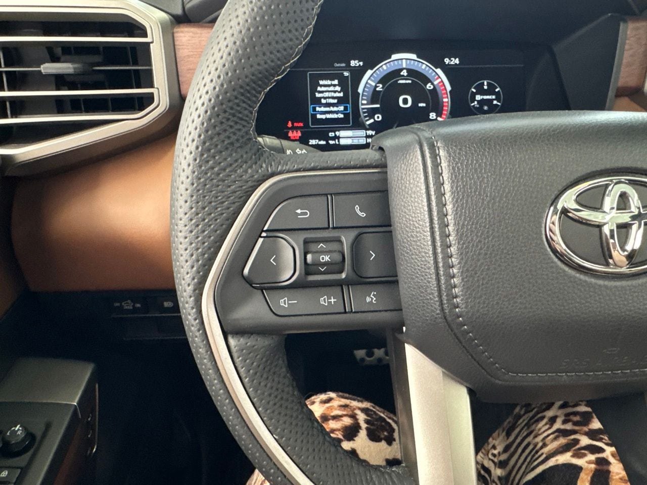 2026 Toyota Tundra 1794 Edition - Photo 20