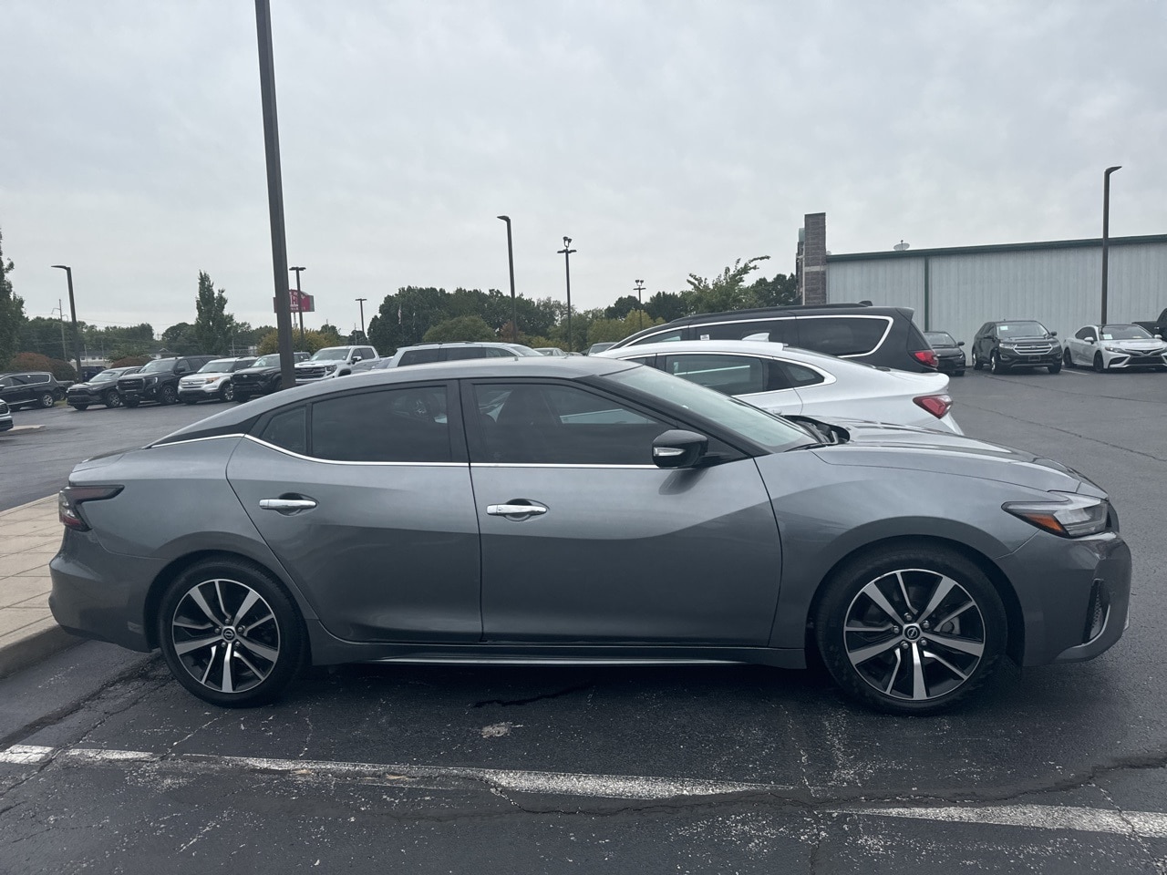 Used 2023 Nissan Maxima SV with VIN 1N4AA6CV5PC511021 for sale in Springfield, MO