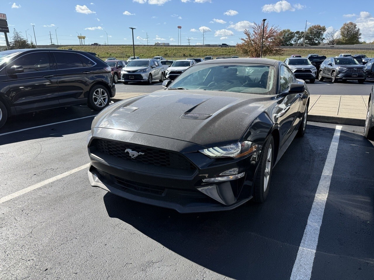 2019 Ford Mustang EcoBoost photo 2