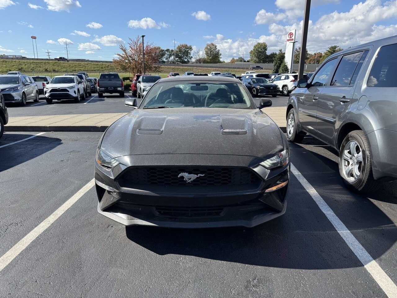 2019 Ford Mustang EcoBoost photo 3