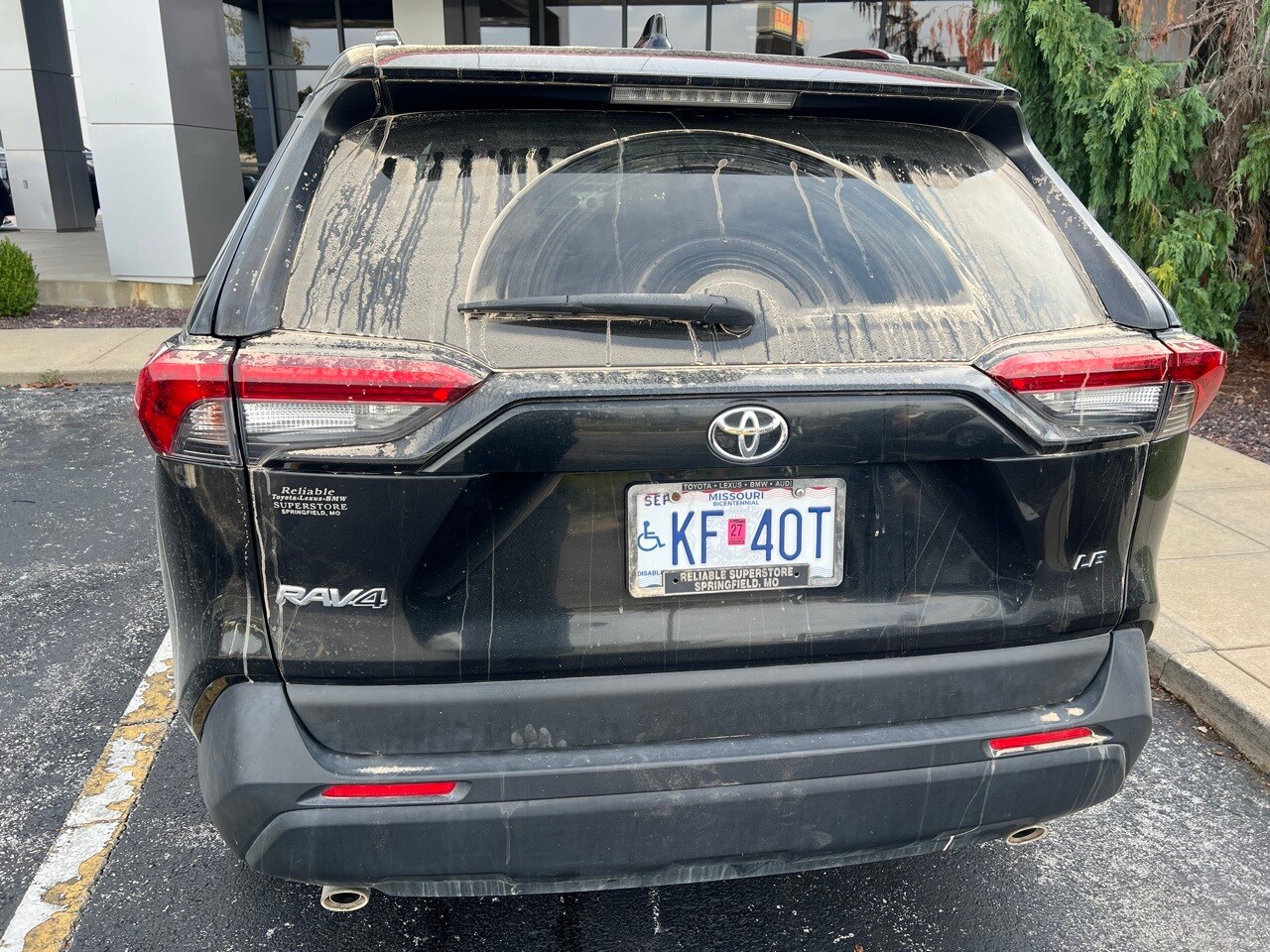 2019 Toyota RAV4 LE photo 3