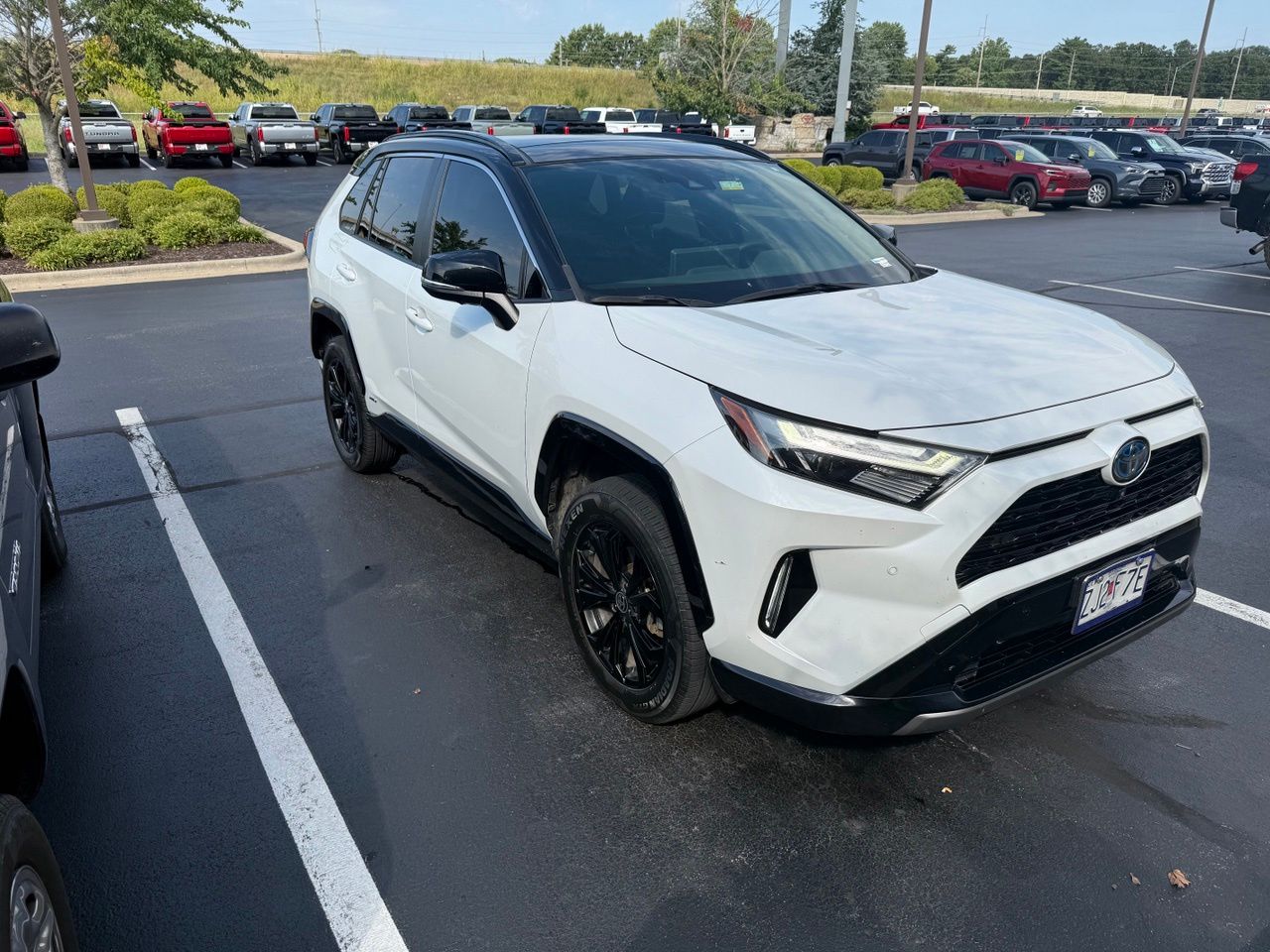 2023 Toyota RAV4