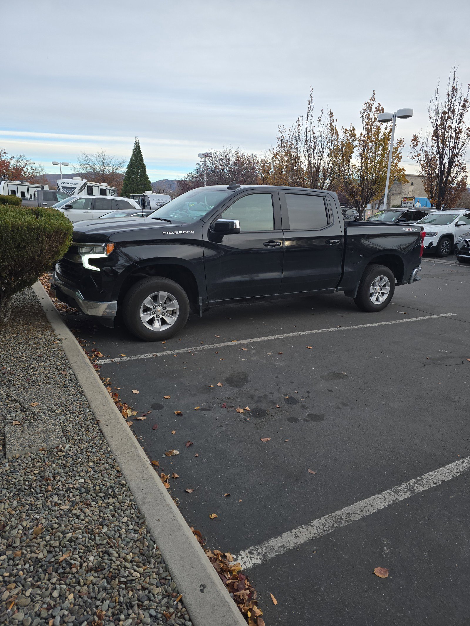 2025 Chevrolet Silverado 1500 LT's photo