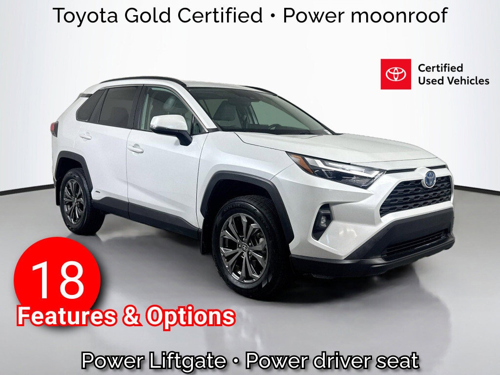 2024 Toyota RAV4 Hybrid XLE Premium AWD's photo