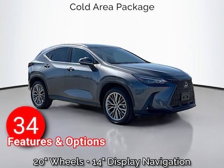 2022 LEXUS NX 350 Luxury SUV