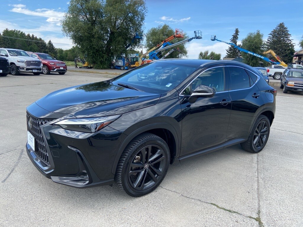 2022 Lexus NX 450h+ Luxury photo 3