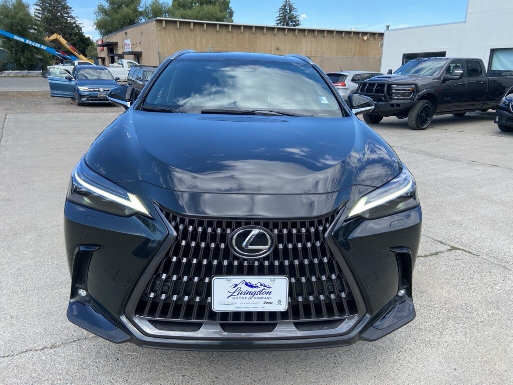 2022 Lexus NX 450h+ Luxury photo 2