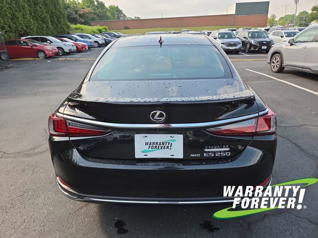 2023 Lexus ES 250 - Photo 6