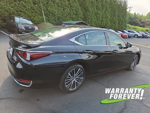 2023 Lexus ES 250 - Photo 7