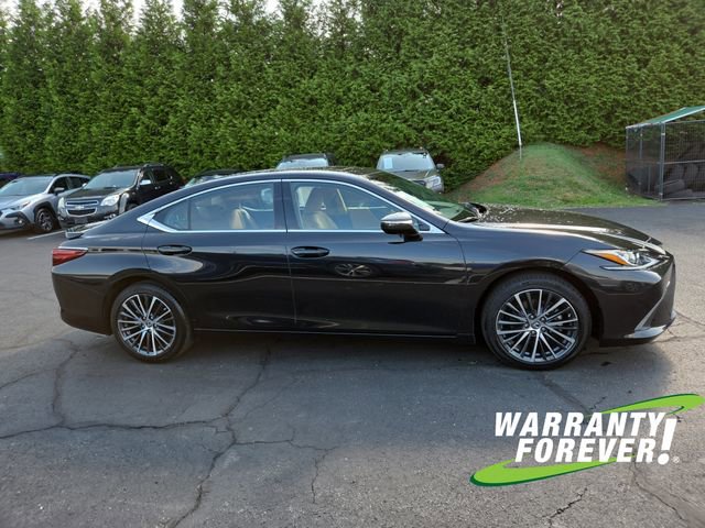2023 Lexus ES 250 - Photo 8