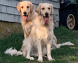 Staff member Hudson & Cutter from fc0d137dfe1f