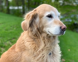 Staff member Logan from fc0d137dfe1f