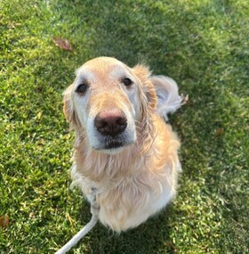 Staff member Cutter from fc0d137dfe1f