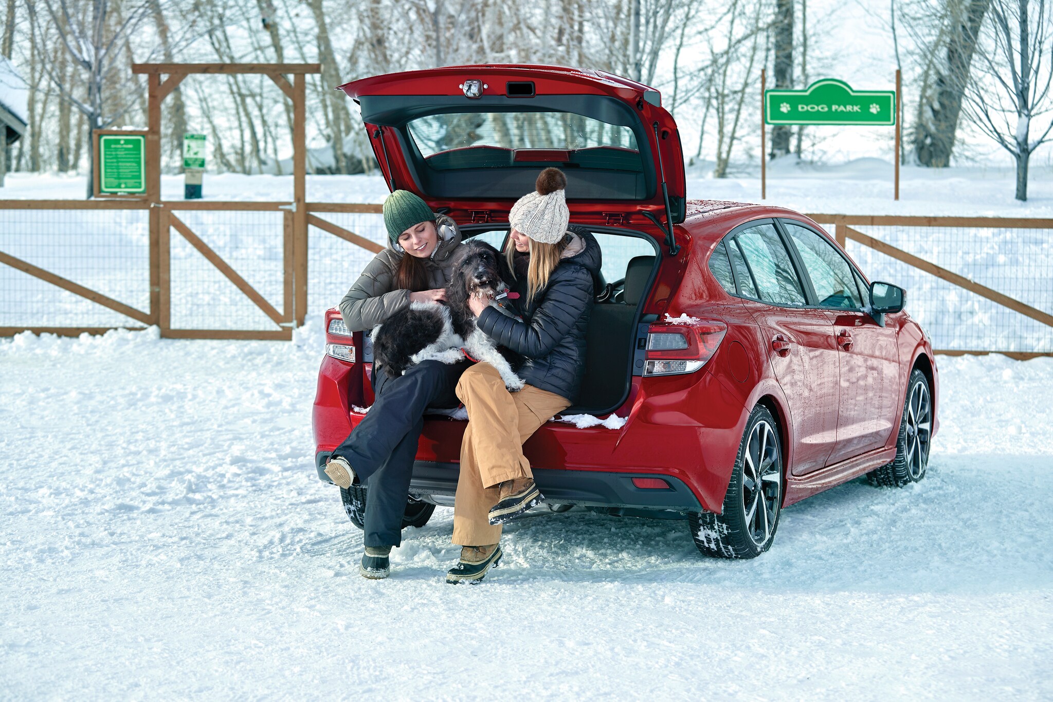 Subaru Pet Carrier And Mobile Pet Bed