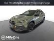 Used 2024 Subaru Crosstrek Wilderness Sport Utility