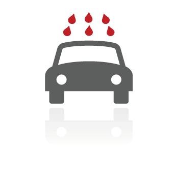 Toyoguard Protective Coating