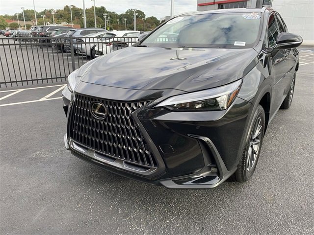 2025 Lexus NX 350h photo 4