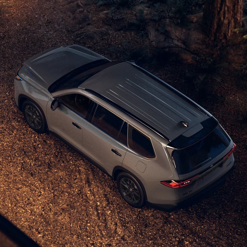  Family riding in vehicle