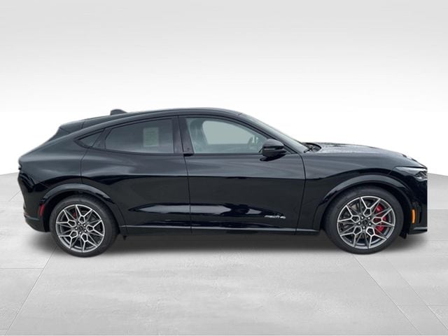 2025 Ford Mustang Mach-E GT - Photo 10