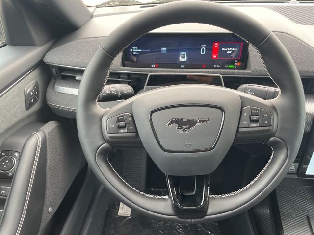 2025 Ford Mustang Mach-E GT - Photo 15