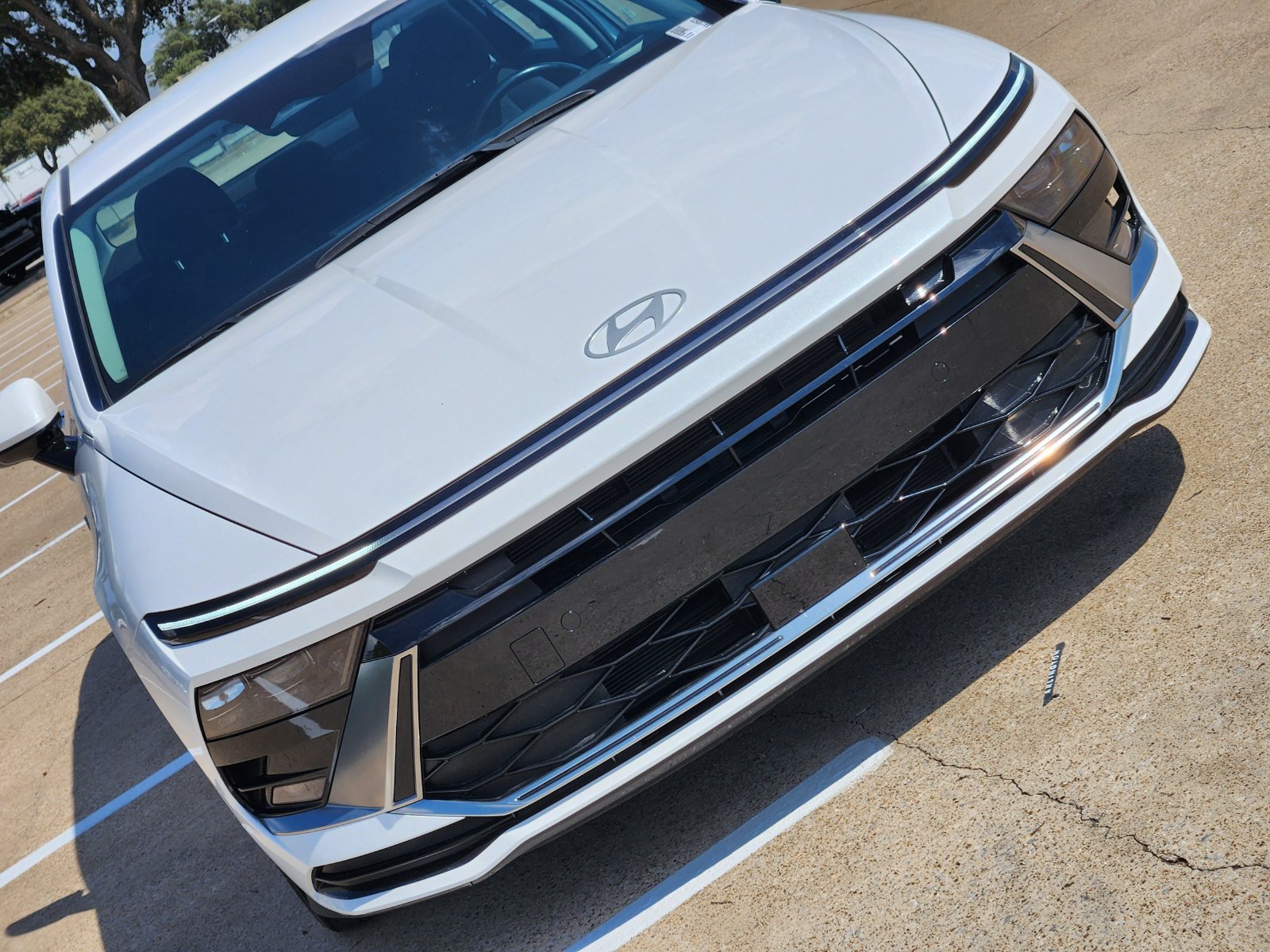 Used 2025 Serenity White Hyundai SEL image 12