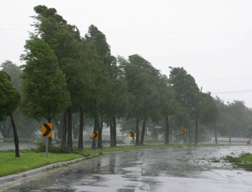 driving in wind storm