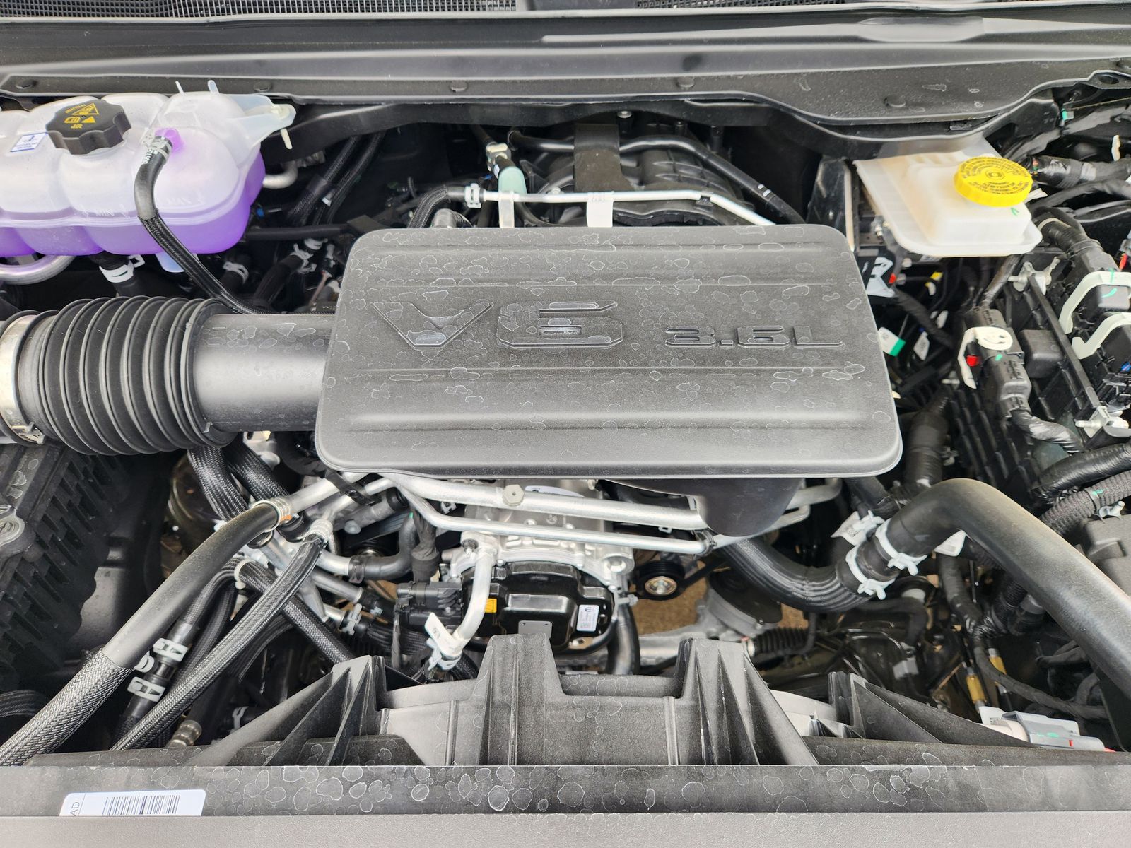 New 2026 Forged Blue Ram LONE STAR CREW CAB 4X2 5