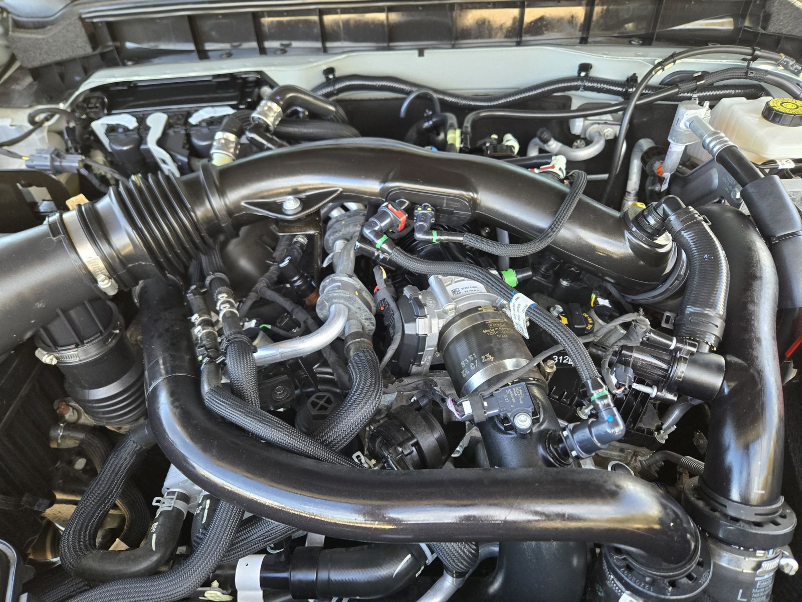 Used 2024 Cactus Ford Raptor image 39