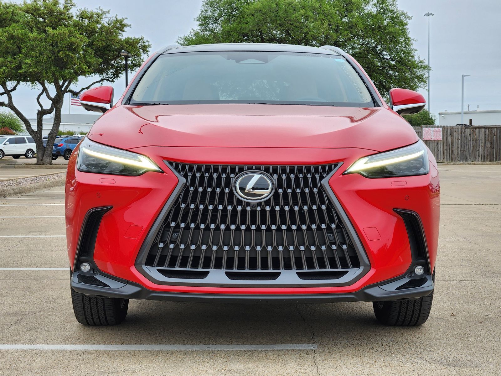 Used 2025 Redline Lexus Luxury image 7