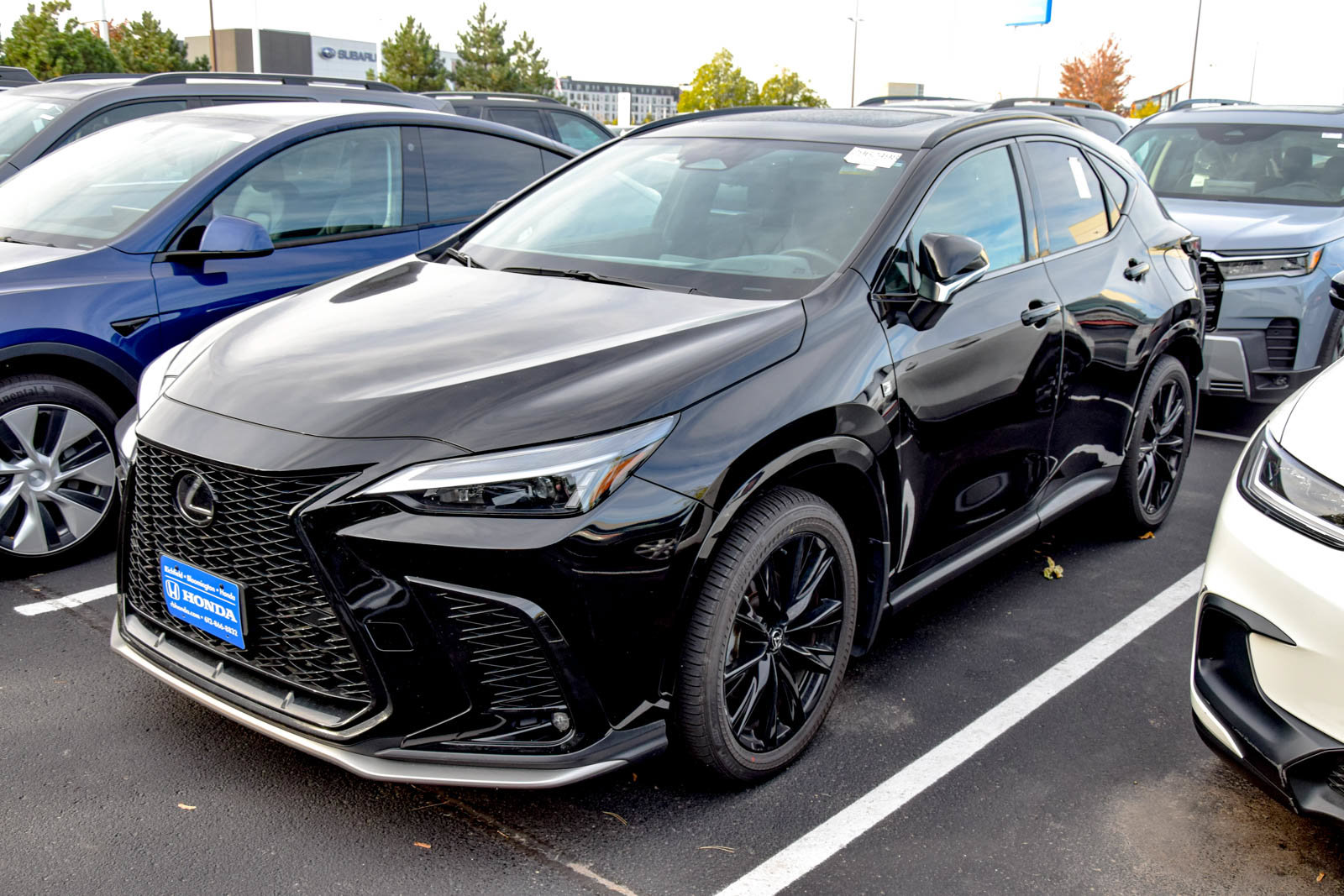 2024 Lexus NX 350