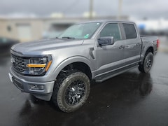 2025 Ford F-150 STX Truck