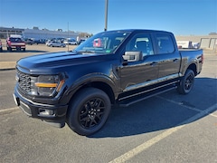 2025 Ford F-150 STX SuperCrew